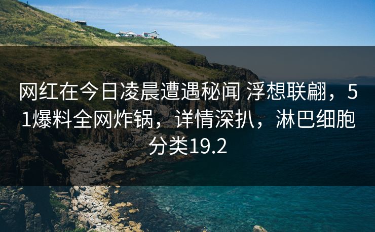 网红在今日凌晨遭遇秘闻 浮想联翩，51爆料全网炸锅，详情深扒，淋巴细胞分类19.2