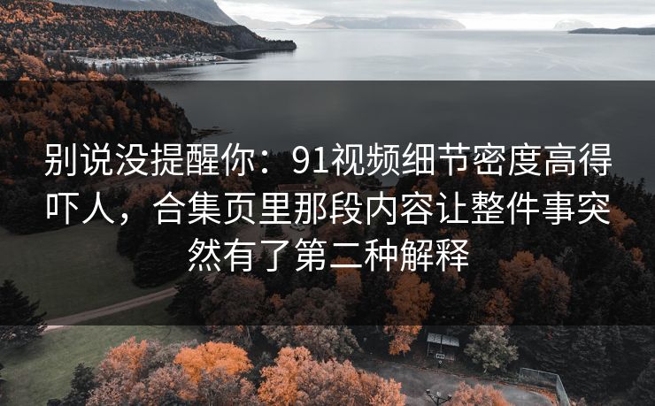 别说没提醒你：91视频细节密度高得吓人，合集页里那段内容让整件事突然有了第二种解释