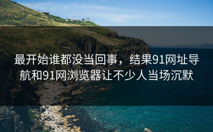 最开始谁都没当回事，结果91网址导航和91网浏览器让不少人当场沉默