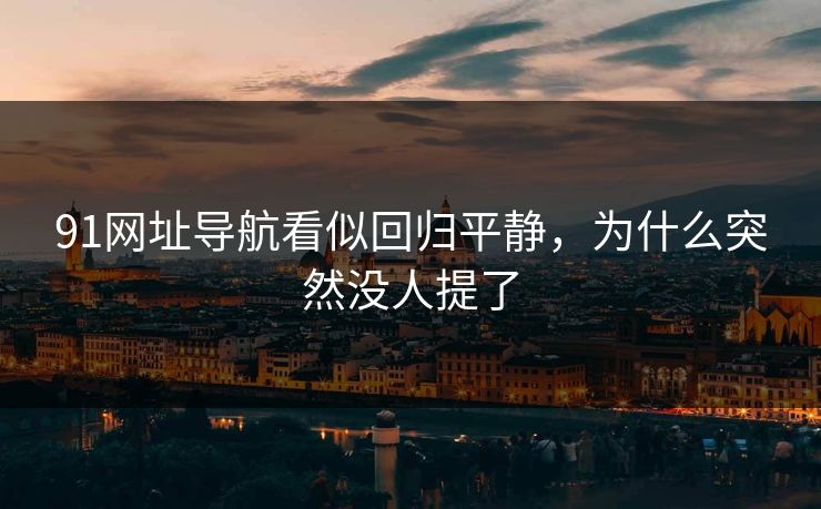 91网址导航看似回归平静，为什么突然没人提了